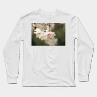 Pretty pink petals Long Sleeve T-Shirt